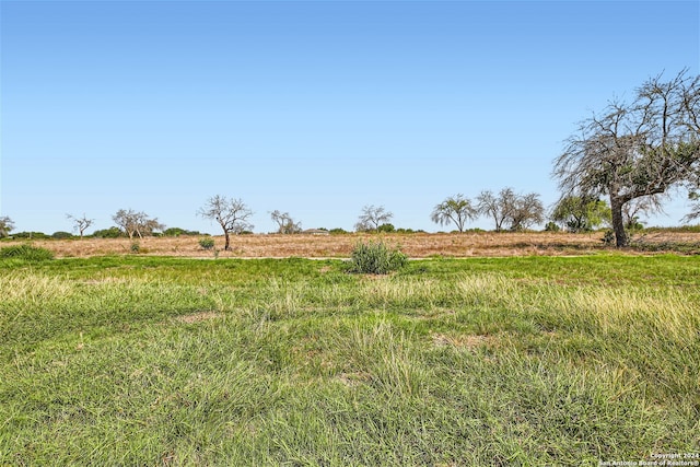 view of yard featuring a rural view