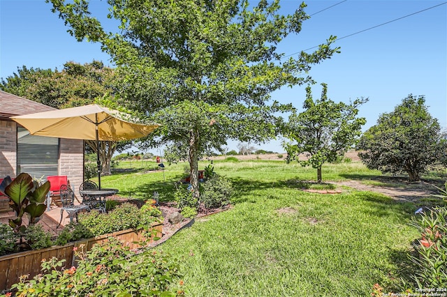 view of yard featuring a rural view