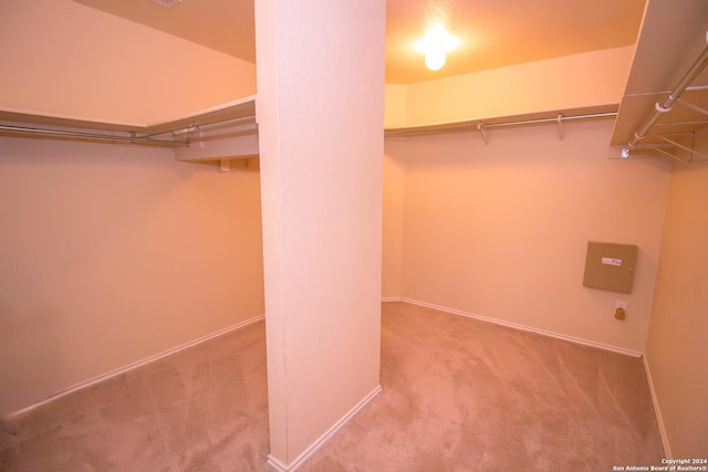 spacious closet featuring light colored carpet