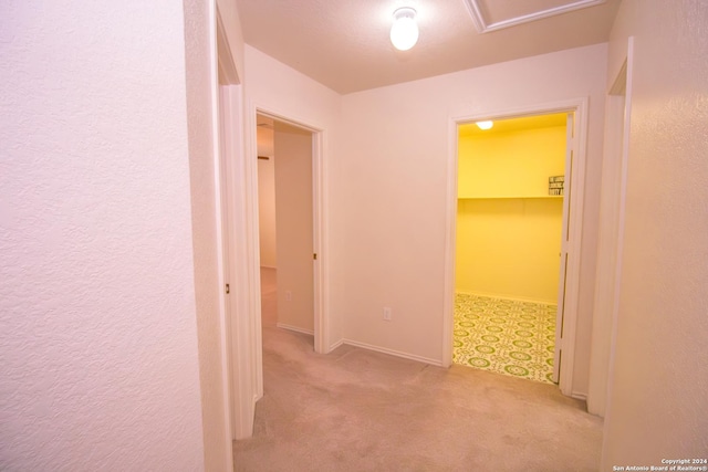 hallway with light colored carpet