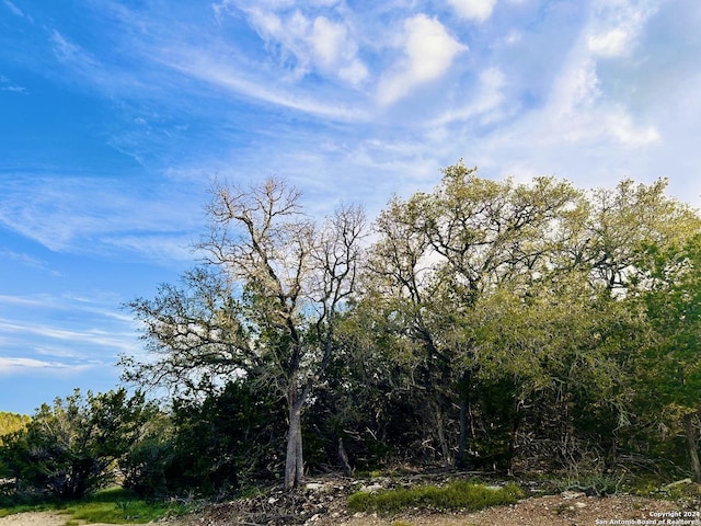 296 Restless Wind, Spring Branch, TX 78070
