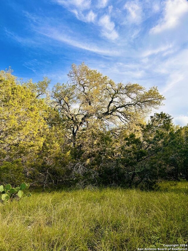 296 Restless Wind, Spring Branch, TX 78070