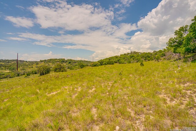 Listing photo 3 for 56 W Twisted Oak Dr, Blanco TX 78606