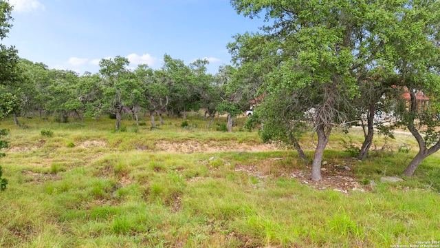 Listing photo 3 for 113 Sabella, Spring Branch TX 78070