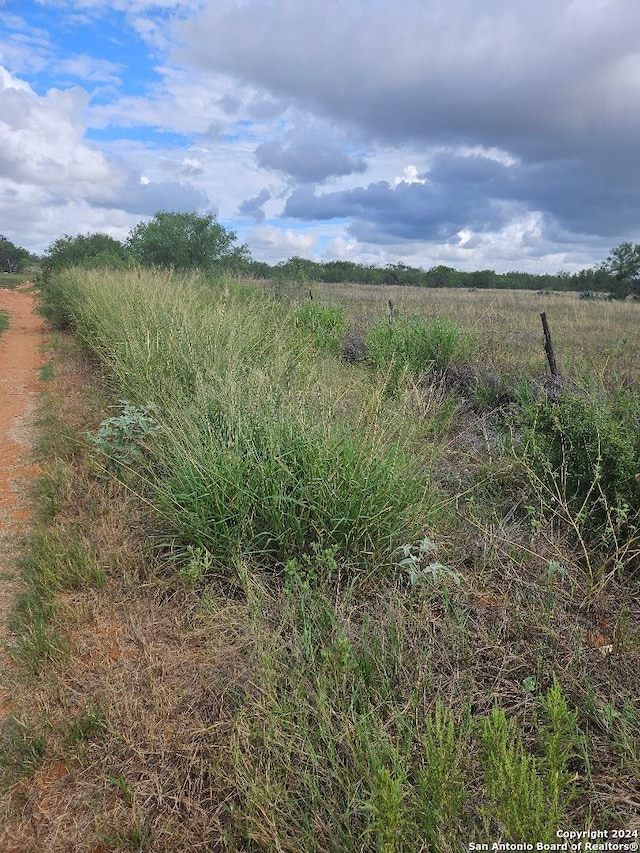 TBD Mendiola Ln, Jourdanton TX, 78026 land for sale