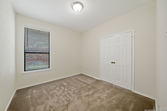 unfurnished bedroom featuring a closet and carpet floors