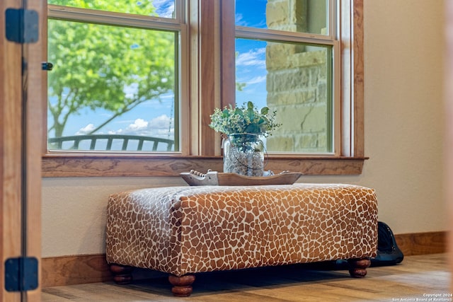 room details with wood-type flooring