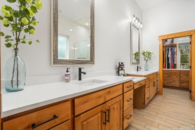 bathroom featuring vanity, wood-type flooring, and a healthy amount of sunlight