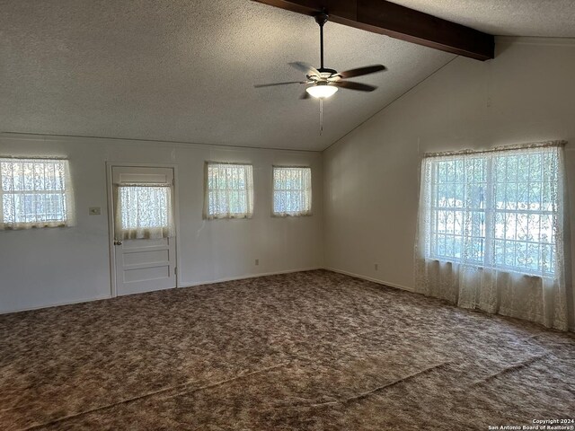 interior space with a healthy amount of sunlight, lofted ceiling with beams, a textured ceiling, and carpet flooring