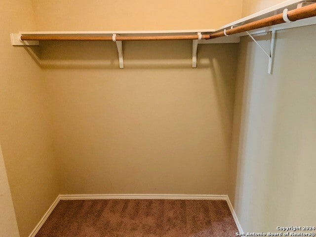 walk in closet with carpet floors