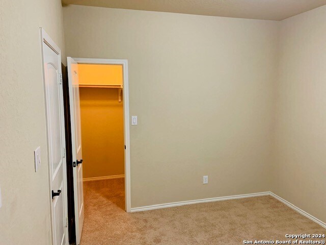 unfurnished bedroom featuring a closet, carpet floors, and a spacious closet