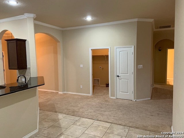 kitchen with light carpet, ornamental molding, and dark brown cabinetry