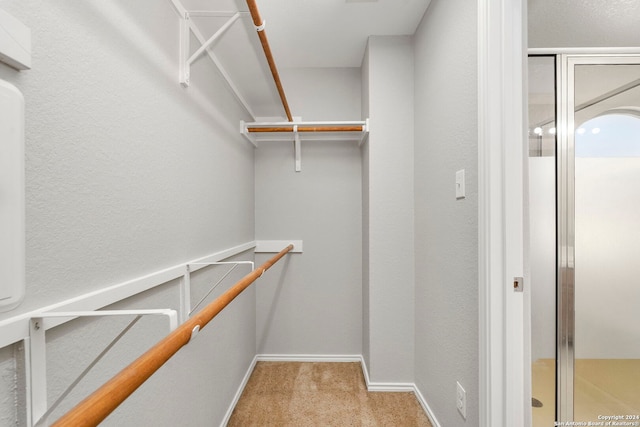 walk in closet featuring carpet floors