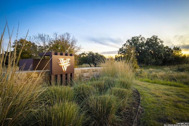 view of yard at dusk