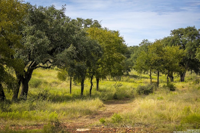 view of landscape with a rural view