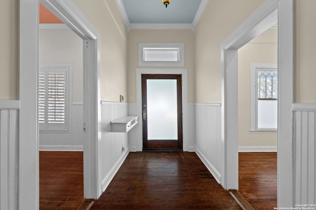 entryway featuring ornamental molding and dark hardwood / wood-style floors