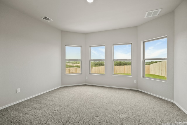 carpeted empty room featuring a wealth of natural light