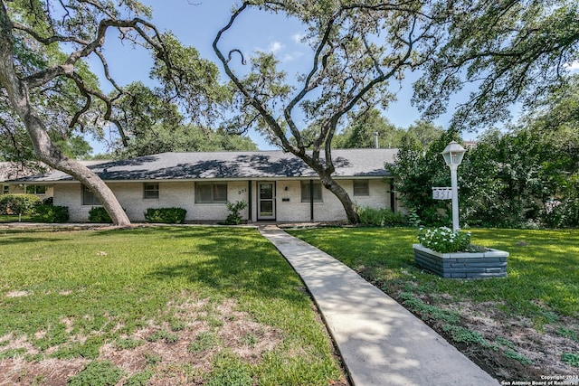 ranch-style house featuring a front yard