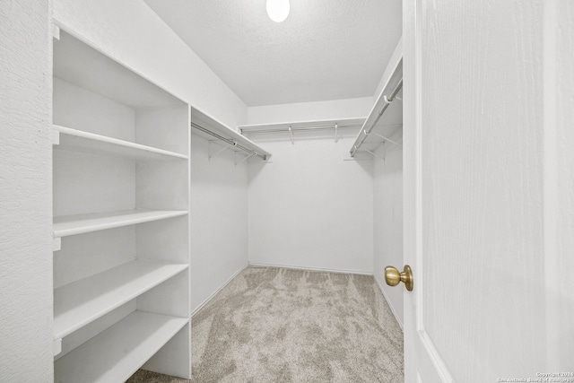 walk in closet with light carpet