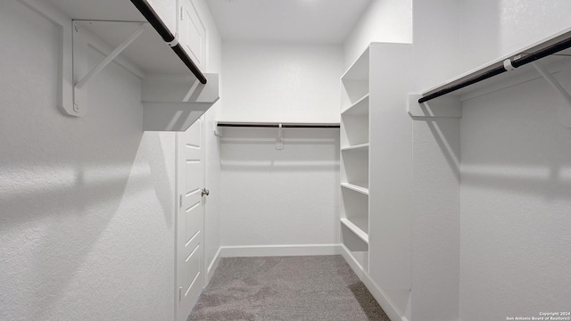 spacious closet with light carpet