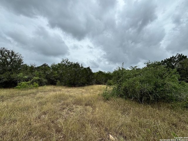 Listing photo 2 for 1881 County Road 241, Hondo TX 78861