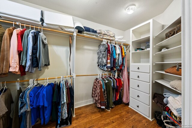 walk in closet with dark wood-type flooring