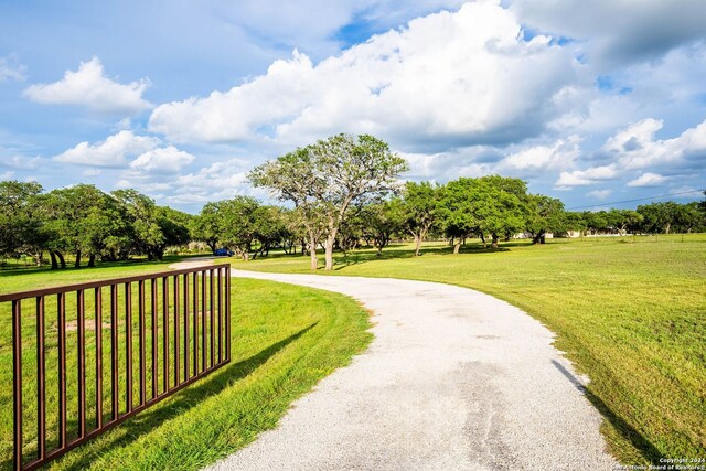 view of community featuring a yard