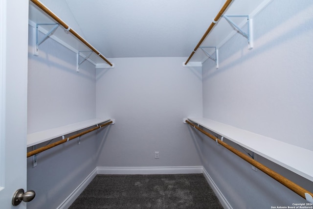 walk in closet with dark colored carpet