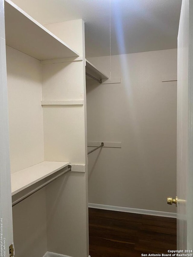 walk in closet featuring dark hardwood / wood-style flooring