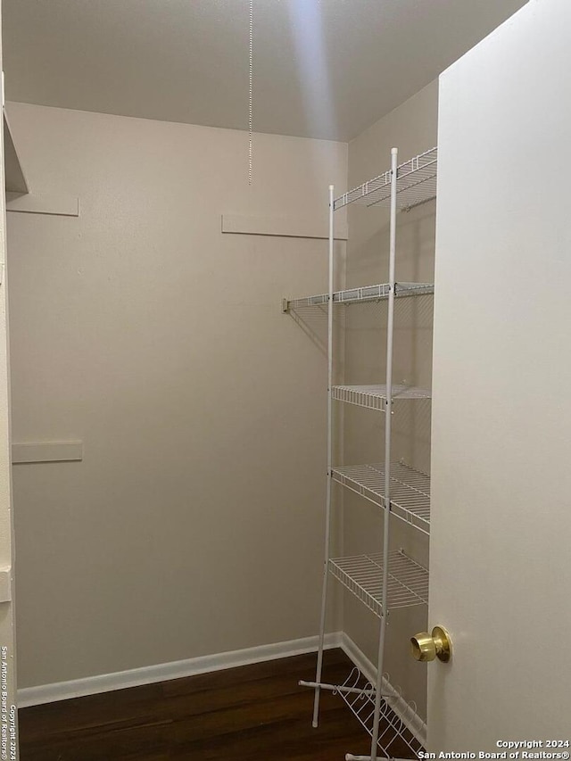 spacious closet featuring dark hardwood / wood-style flooring