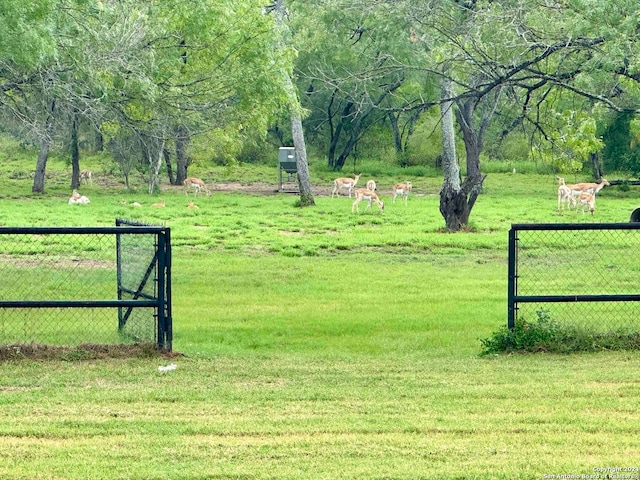 view of property's community with a yard