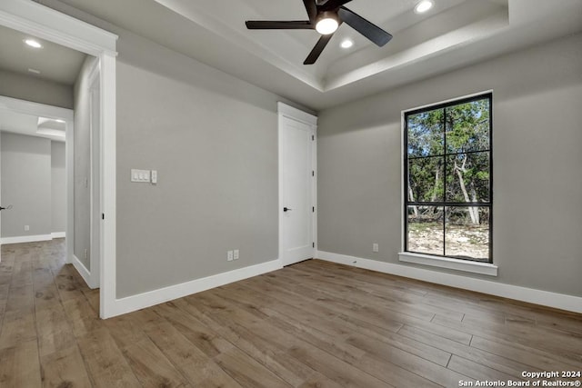 unfurnished room featuring plenty of natural light, light hardwood / wood-style floors, and a raised ceiling