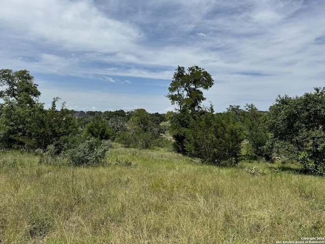 134 W Eli Chandler, Blanco TX, 78606 land for sale