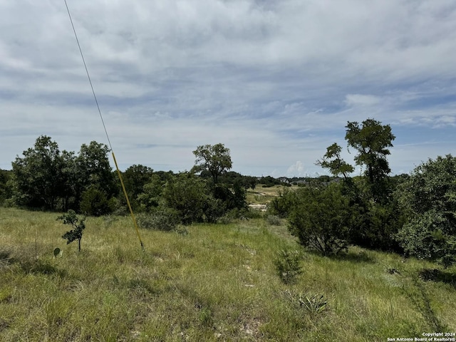 Listing photo 3 for 134 W Eli Chandler, Blanco TX 78606