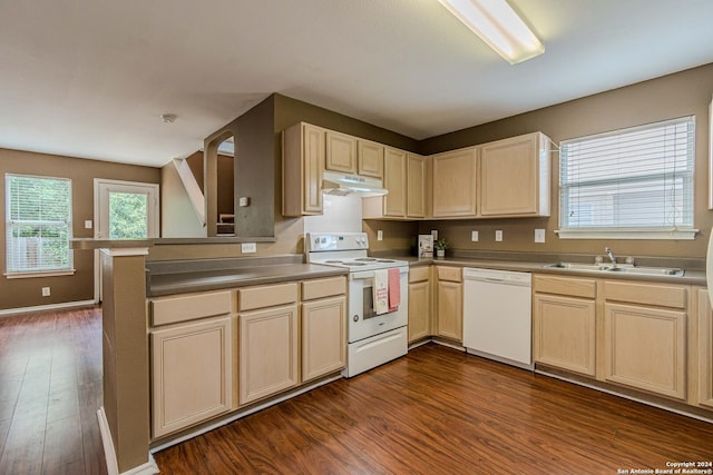 kitchen with kitchen peninsula, sink, white appliances, a healthy amount of sunlight, and dark wood-type flooring