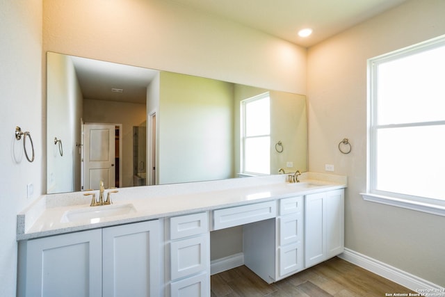 bathroom with vanity, a wealth of natural light, and hardwood / wood-style floors