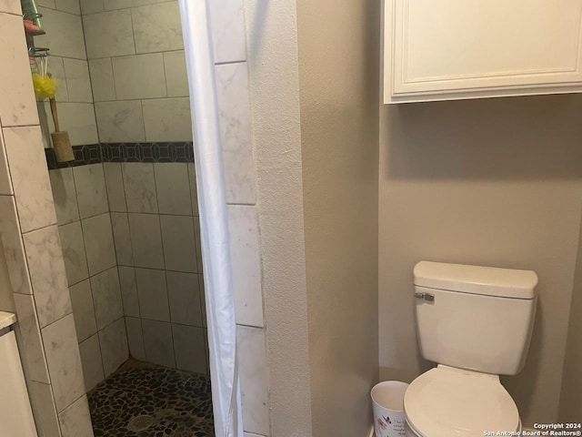 bathroom with toilet and a shower with shower curtain