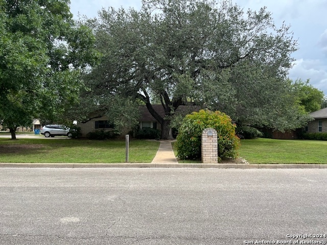 view of property hidden behind natural elements featuring a front yard