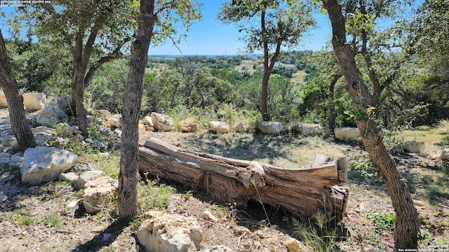 view of landscape