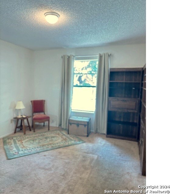 sitting room featuring carpet floors and a textured ceiling