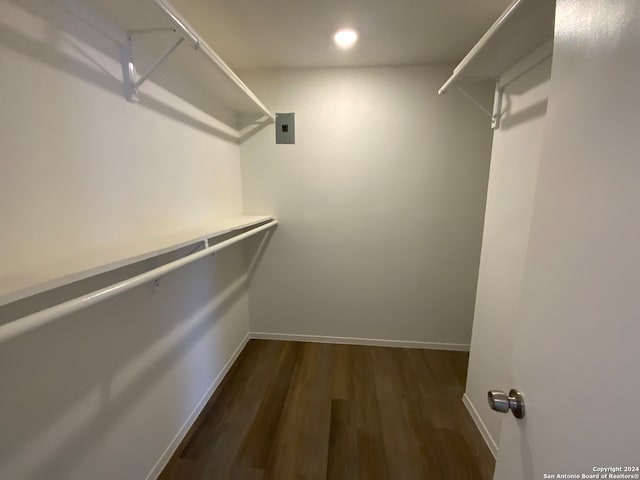 walk in closet with hardwood / wood-style flooring