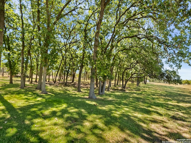 5 Old Fredericksburg, Boerne, TX 78015 - view of yard