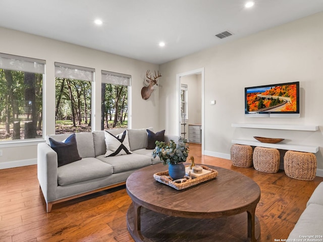 living room with hardwood / wood-style flooring