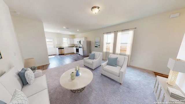 living room with wood-type flooring