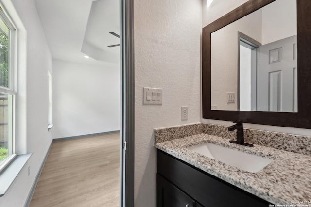 bathroom with vanity, a raised ceiling, wood-type flooring, and a wealth of natural light