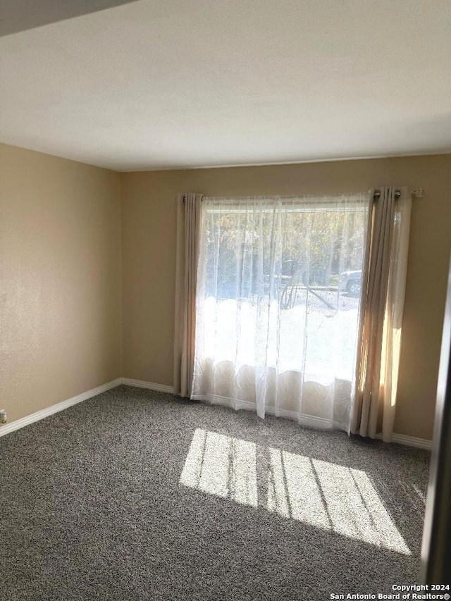 empty room featuring carpet flooring