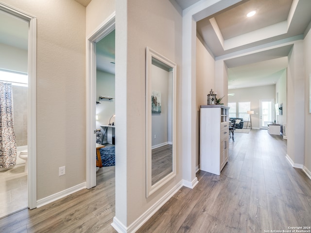 hall with hardwood / wood-style flooring and a raised ceiling