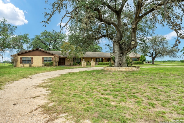 ranch-style home featuring a front lawn