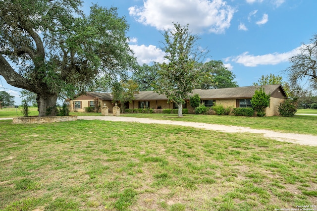 ranch-style home with a front lawn