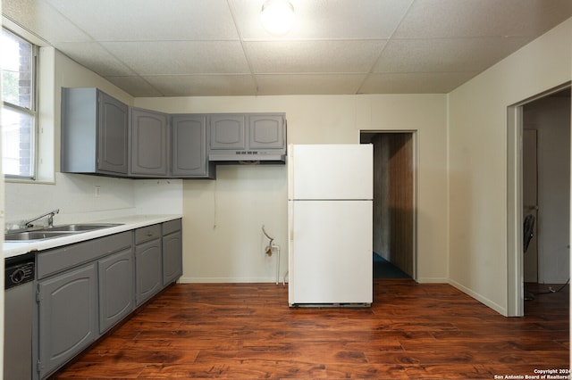 kitchen featuring dark hardwood / wood-style flooring, gray cabinets, a paneled ceiling, white refrigerator, and sink